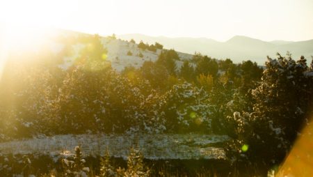 Montana Photography